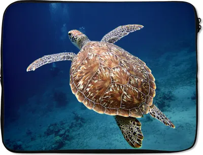 Produktbild von MuchoWow® Laptop Hülle 15 Zoll Schildkröte Fotodruck Laptoptasche - Laptoptasche - Sleeve - Rundum-Schutz
