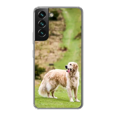 Produktbild von MuchoWow® Handyhülle Schutzhülle Hülle für Samsung Galaxy S22 Schönes Bild eines Golden Retrievers Silikon Softcase Handy Hülle - Mobiltelefonhülle