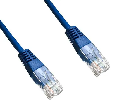 Image de DATACOM Patch cord UTP Cat6 3m modrý