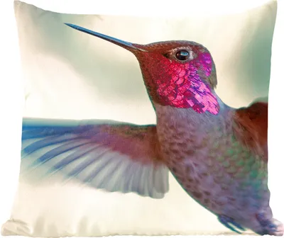 Produktbild von MuchoWow® Zierkissen Sofakissen Wohnzimmer Dekokissen 45x45 cm Vögel - Kolibri - Rosa - Schlafpolster - Polster für das Sofa