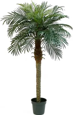 Produktbild von artplants.de Künstliche Phönix Palme, 21 Palmwedel, 150cm - Dekopalme - Kunst Palme