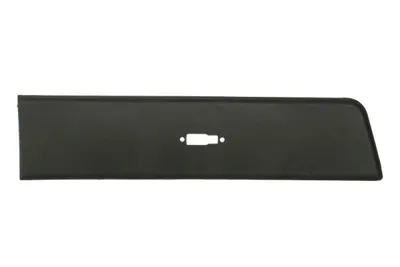 Produktbild von BLIC Seitenschutzleiste hinten rechts 5703-04-2097582P für FIAT Ducato Kastenwagen (250, 290) Ducato Pritsche / Fahrgestell (250, 290) Ducato Bus