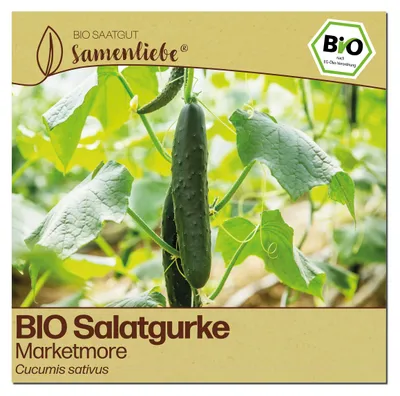 Produktbild von Samenliebe  Gurke Samen | Marketmore - bitterfrei & lange & sehr ertragreiche - samenfestes  Saatgut