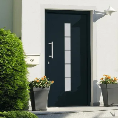 Produktbild von The Living Store Haustür Aluminium und PVC Anthrazit 100x210 cm