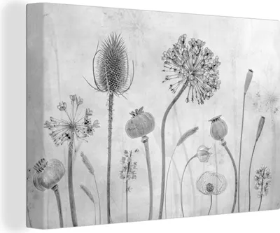 Obrázek produktu pro OneMillionCanvasses® - Obrazy na plátně - 140x90 cm, Zátiší - Černobílé - Příroda, Nástěnné umění Vytisknout Nástěnná dekorace