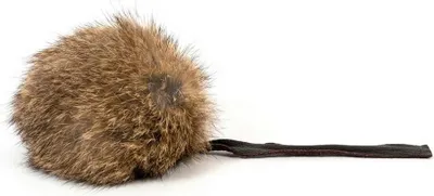 Image de Gloria Rogers Jouet pour chats One Size