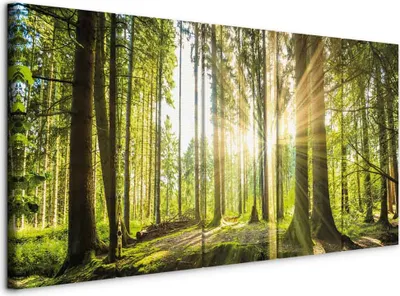 Produktbild von Italienischer Leinwand Leinwandbild - Sunlight 225x90 cm Landschaften c-C-0177-b-n