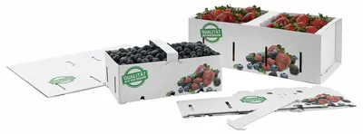 Produktbild von 25x Obstkörbe Beerenkörbe aus Pappe 350x159x118mm mit Neutraldruck für 2,0-2,5 KG