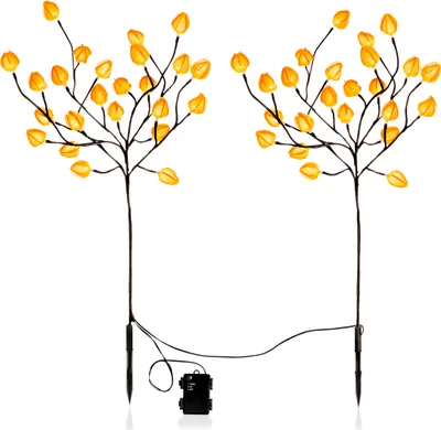 Immagine prodotto di Spina da giardino a LED PHYSALIS in set da 2 - 75 cm / 48 LED - batteria e timer