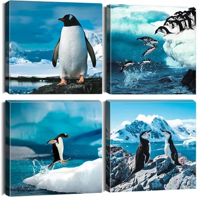 Productafbeelding van Wanddecoratie: 4-delig canvas met pinguinmotief, 30 x 30 cm