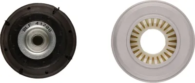 Image de Palier de la jambe de force