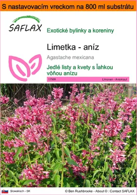 Obrázok produktu pre SAFLAX Garden in the bag - Limetka - aníz - Agastache mexicana - 50 Semená - S pestovateľským substrátom v praktickom samostaviteľnom vrecku