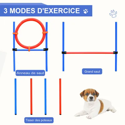 Zdjęcie produktu dla PawHut Agility sport dla psów kompletny sprzęt przeszkody i trening 11-częściowy tor zwinności dla psów z torbą do przenoszenia stalowo-czerwono-niebieski