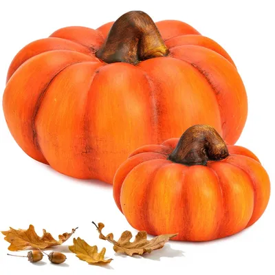 Image de Set de citrouilles orange Ton, 10 & 16 cm comme décoration d'automne & d'Halloween