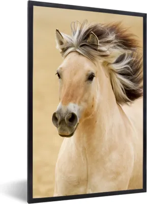 Produktbild von MuchoWow® MuchoWow® Gerahmtes Poster Pferde - Tiere - Mähne - Porträt 60x90 cm - Poster mit zchwarzem Bilderrahmen - Kunst