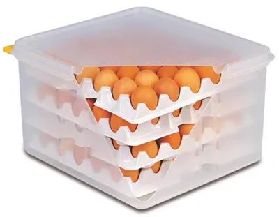 Produktbild von APS Lagen 10-tlg., zu Eier-Box, Höhe: 65 mm, Länge: 285 mm, Breite: 285 mm