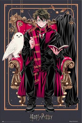 Harry Potter Poster Wizard Dynasty Harry