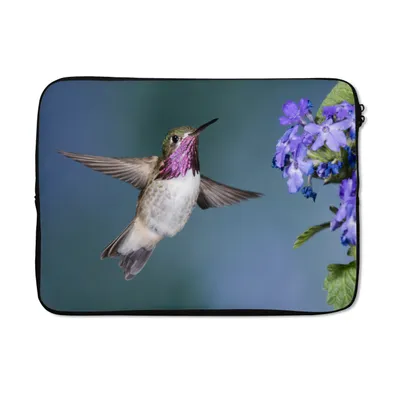 Produktbild von MuchoWow® Laptop Hülle 14 ZollKolibri - Blume - Blau Laptoptasche - Laptoptasche - Stoßsicher - Schutzhaube