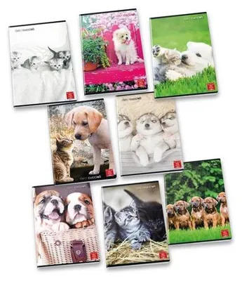 Zdjęcie produktu dla Pigna 8005235100435, Wzór, Różne kolory, A4, 42 ark., 80 g/m², Papier w kratkę