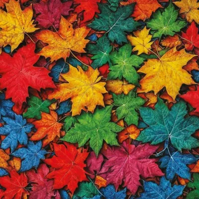 Produktbild von ART PUZZLE Puzzle Farbblä tter 1000 Stü ck