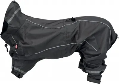Image de Manteau de pluie Trixie Vaasa pour chiens, couleur grise, 70 cm