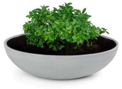 Immagine prodotto di Fioriera rotonda bulbosa da 30 cm per esterni, grigio chiaro marmorizzato
