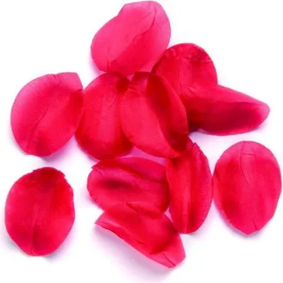 Produktbild von Glorex Rosenblütenblätter rot, 100 Stück