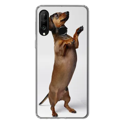 Produktbild von MuchoWow® Handyhülle Schutzhülle Hülle für Huawei P30 Lite Ein Dackel, der auf seinen beiden Hinterbeinen steht Silikon Softcase Handy Hülle - Handyhülle