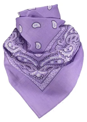 Produktbild von Bandana 100% Baumwolle 54x54 cm – Halstuch, Kopftuch, hitze- und schweißresistent