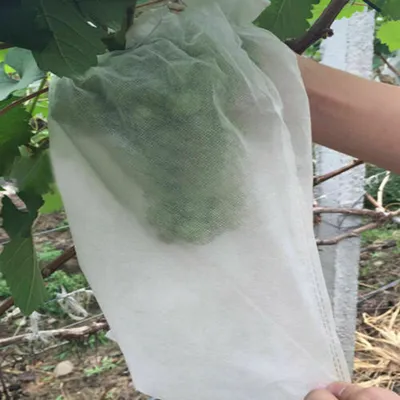 Produktbild von 100Stk Trauben Schutz Taschen Obst GemÜSe Trauben Netz Beutel Gegen Werkzeug 240x350mm