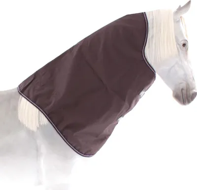 Obrázok produktu pre Horseware Amigo Bravo-12 Turnout Hood 0g - Excal/Plum & Silver