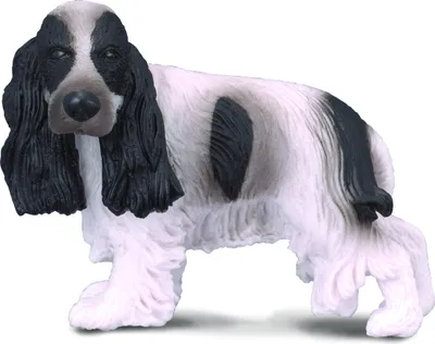 Zdjęcie produktu dla COLLECTA English Cocker Spaniel dog 88070 5cm