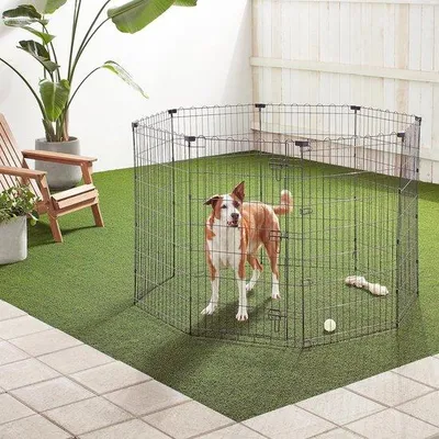 Image de Cage d'entraînement pliable en métal, 152 x 152 x 107 cm, noire