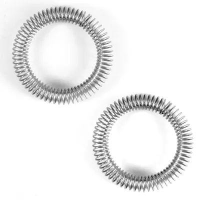 2er-Pack Milchaufschäumerfedern Edelstahl 3,4 cm für Aeroccino 3/4/Plus