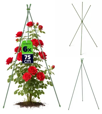 Obrázok produktu pre KADAX Opora pre popínavé rastliny, 75 cm, 6 ks, kovová opora s poveternostne odolnou plastovou povrchovou úpravou, oporná konštrukcia pre záhradu, skleník a vyvýšený záhon