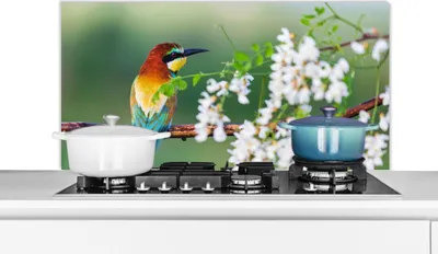 Produktbild von KitchenYeah®  Spritzschutz Küche - Küchenrückwand - Wandschutz für Herd und Spüle - Vogel - Bienenfresser - Blumen 100x50 - Alu-Dibond (Alternative zum Spritzschutz aus Glas) - Hitzebeständig - Herdsp
