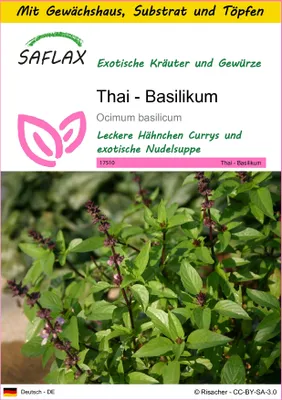 Produktbild von SAFLAX Anzucht Set - Thai - Basilikum - Ocimum basilicum - 200 Samen - Mit Mini-Gewächshaus, Anzuchtsubstrat und 2 Töpfen