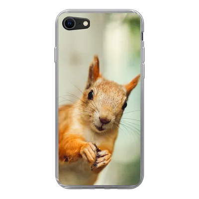Produktbild von MuchoWow® Handyhülle Schutzhülle Hülle für iPhone 7 Eichhörnchen - Lustig - Nuss - Kinder - Jungen - Mädchen - Kind Silikon Softcase Handy Hülle - Kartenhalter
