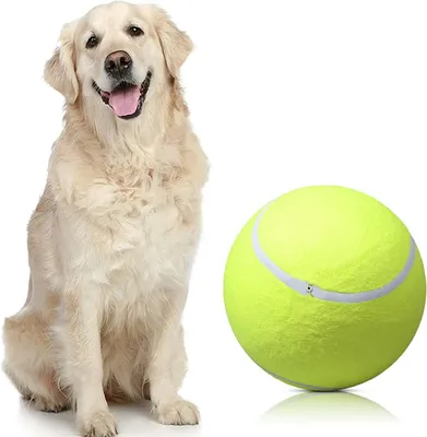 Produktbild von Hundespielzeug Tennisball, aufblasbar, 24 cm, für große Hunde, Outdoor und Indoor