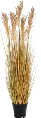 Produktbild von Kunstgras Sorghum 110 cm Natural