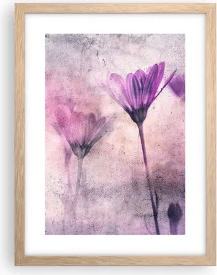 Produktbild von Gerahmtes Poster - Rahmen in heller Eiche - Blumen Rosa Vintage - 30x40 cm - Wand Bild - Wanddeko - Wandbilder - Kunstposter - Wandposter - Bilderrahmen - Bilder - Kunstdruck - P2NPA30x40-4432
