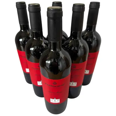 Produktbild von Marmellone Calabria IGP 2025 - Ferrocinto - 6×0,75 l - Rotwein aus Italien