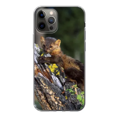 Produktbild von MuchoWow® Handyhülle Schutzhülle Hülle für iPhone 12 Pro Marder - Baum - Wald Silikon Softcase Handy Hülle - Abdeckung