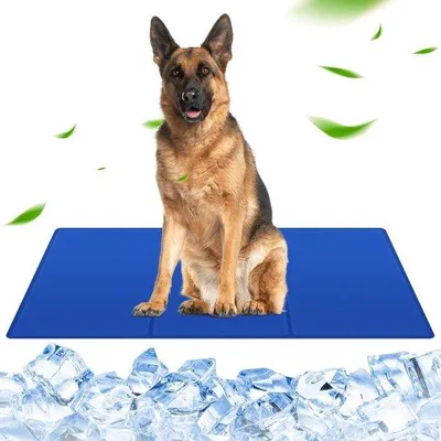 Produktbild von Famanu Kühlmatte für Hunde, groß (90 x 50 cm), selbstkühlende Matte mit Gel, blau, L
