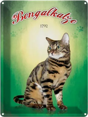 Produktbild von vianmo Blechschild 40x30 cm Katze Bengalkatze 1792