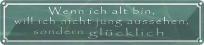 Produktbild von vianmo Blechschild 10x46 cm wenn ich alt bin will nicht jung Spruch Zitat