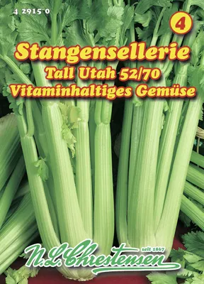Produktbild von Stangensellerie Tall Utah 52/70 | Stangenselleriesamen von N.L. Chrestensen