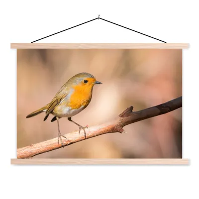 Produktbild von MuchoWow® Textilposter Vogel - Zweig - Rotkehlchen 60x40 cm mit holzfarbenen Rahmen - Bilder