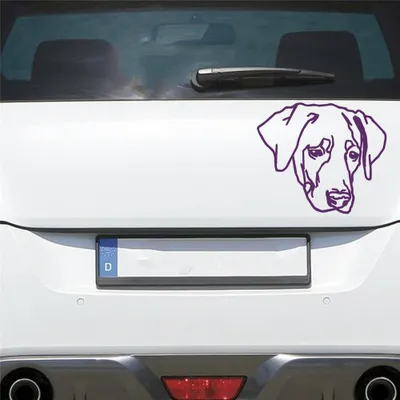 Produktbild von Auto Aufkleber Labrador LABI Labbi Hund Dog Hundekopf Hundefreund 15x13 cm Lila Sticker Heckscheibenaufkleber