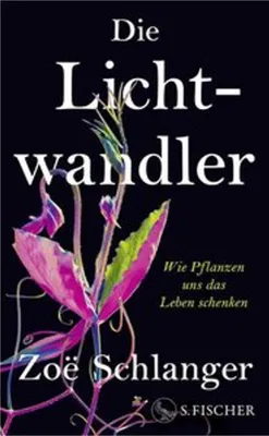Immagine prodotto di Die Lichtwandler